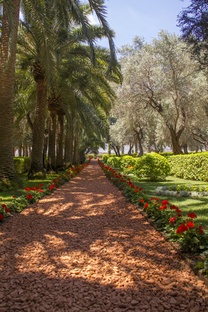 Beautiful Tropical Gardenの写真素材