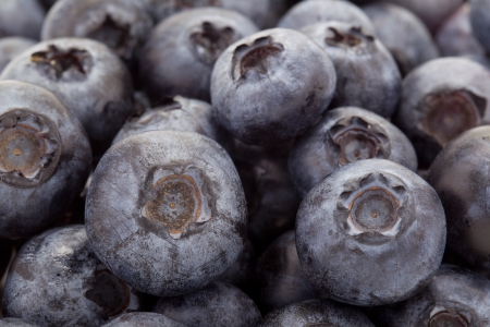 blueberriesの写真素材