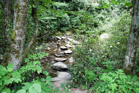 Man taking photos standing in the streamの写真素材