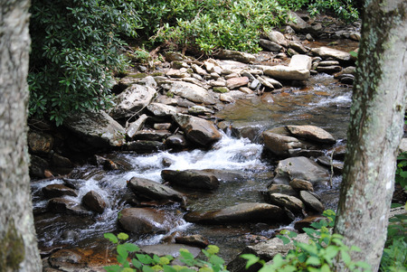Water moving downstream in the back woods of the Smoky Mountainsの写真素材