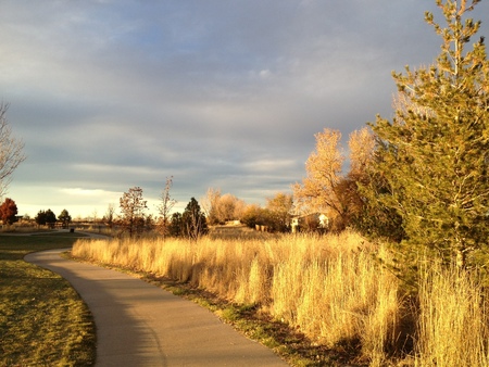 bike pass trail in city park in Aurora, Colorado, USA