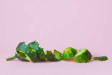 cucumber peel on pink background as a symbol of recycling circulate economyの写真素材
