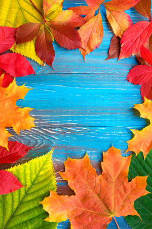 Colorful autumn leaves on blue and brown wooden background