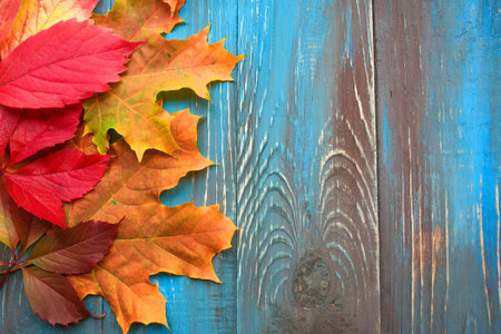 Colorful autumn leaves on blue and brown wooden background