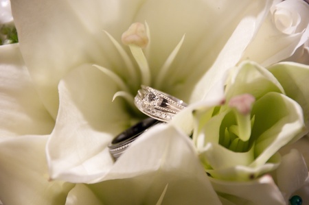 Wedding rings in bridal bouquetの写真素材
