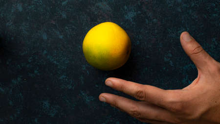 Fresh fruit and hand on backgroundの写真素材