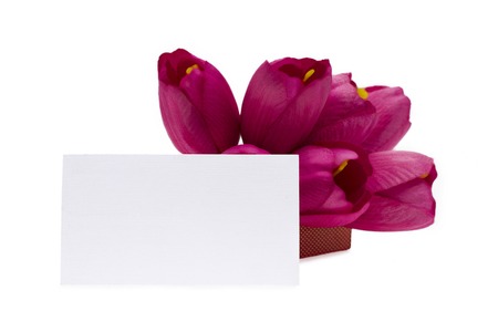 Bouquet of red tulips on white backgroundの写真素材