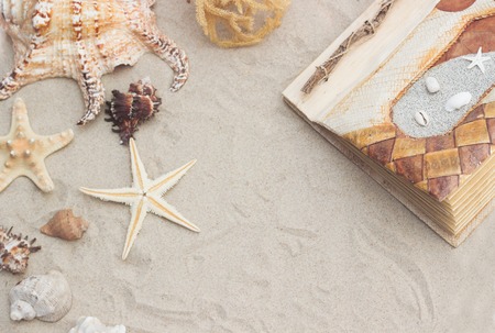 sea shells and starfish with sand as backgroundの写真素材