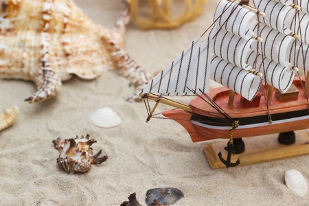 ship,shells on sandy beach, Summer conceptの写真素材
