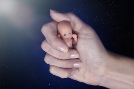 Hand protecting of embryo - Child Protection Conceptの写真素材