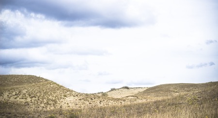 View of Dead Dunes, Curonian Spit and Curonian Lagoon, Nagliai, Nida, Klaipeda, Lithuania. Baltic Dunes.Unesco heritage.の写真素材
