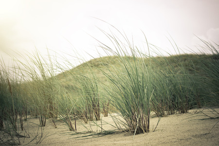 View of Dead Dunes, Curonian Spit and Curonian Lagoon, Nagliai, Nida, Klaipeda, Lithuania. Baltic...