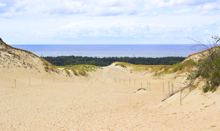 View of Dead Dunes, Nida, Klaipeda, Lithuania.の写真素材