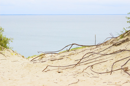 Nida - Curonian Spit and Curonian Lagoon, Nida, Klaipeda, Lithuania. Nida harbour. Baltic Dunes. Unesco heritage.の写真素材
