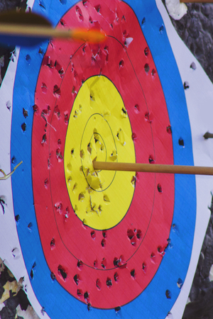 Archery target with arrow in the bullseye.
