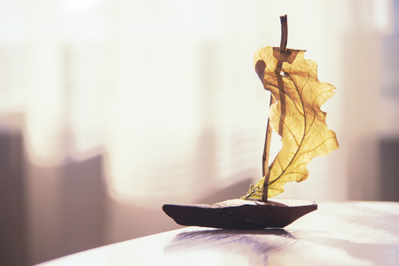 The sailing ship from the oak tree and leafの写真素材