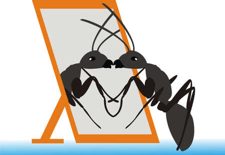 Ant and a mirrorのイラスト素材