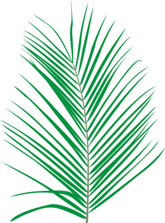 Green grassのイラスト素材