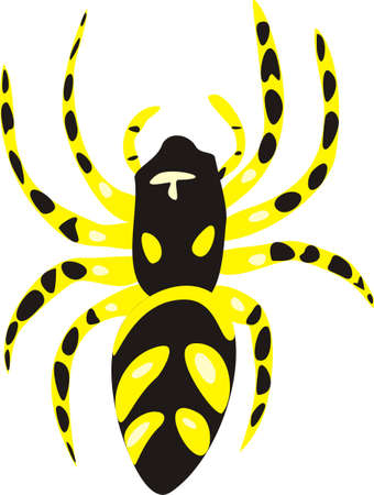 Poisonous spiderのイラスト素材