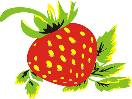 Tasty wild strawberryのイラスト素材