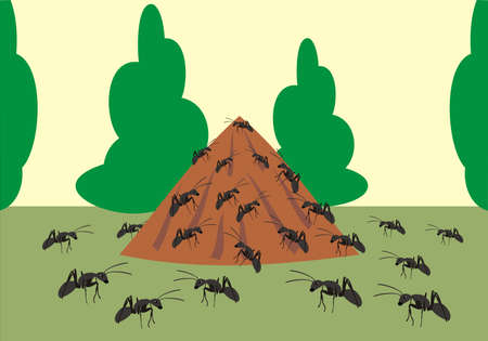 ant hillのイラスト素材