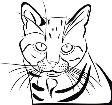 House catのイラスト素材