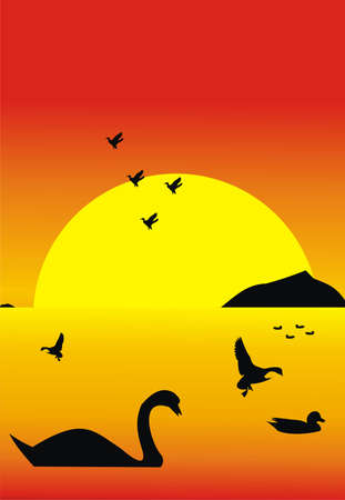 Birds of passageのイラスト素材