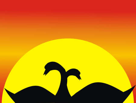 Wild swansのイラスト素材