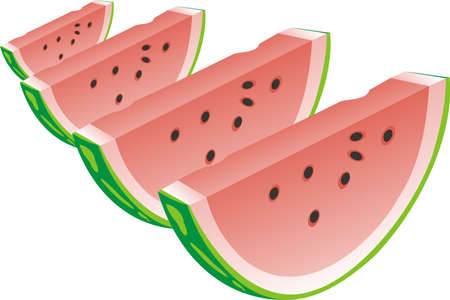 Water-melon segmentのイラスト素材
