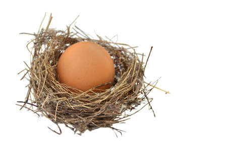 The bird's nestの写真素材