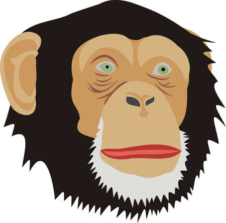 Head of a monkeyのイラスト素材