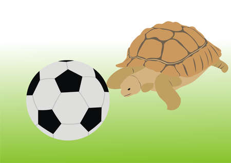 Turtle with a ballのイラスト素材
