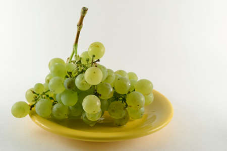 Plate with grapesの写真素材