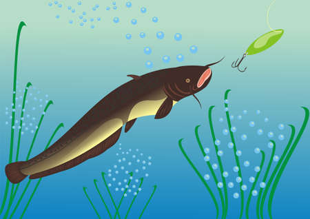 Hunting for a catfishのイラスト素材