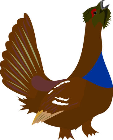 Wood-grouseのイラスト素材