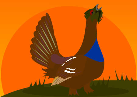 Wood-grouseのイラスト素材