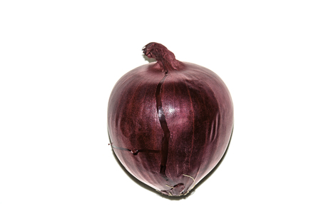 Purple onion on a white backgroundの写真素材