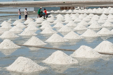 White Salt fields of many heap in Thailand