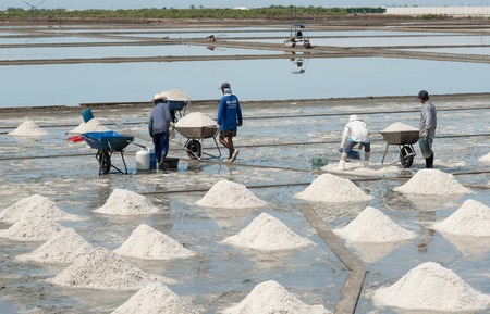 SAMUTSONGKHRAM THAILAND ï¿½ JULY  22, 2016 : Labors  working  in salt fields in a day.のeditorial素材