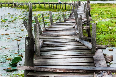 Old wooden  long  bridge cross the lake.の写真素材