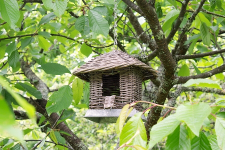 Birdhouse hang on the green tree in the gardenの写真素材