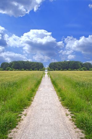 A wide open footpath on a shiny bright day. A wide open footpath on a shiny bright day.