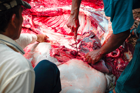 qurban celebration in malaysiaの写真素材