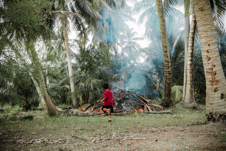 kids help burn the dead grassのeditorial素材