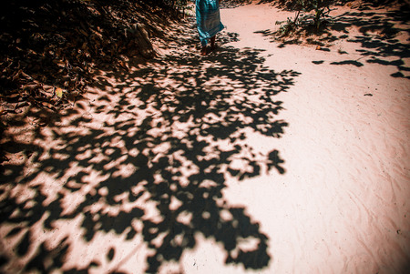 Walking through the forestの写真素材