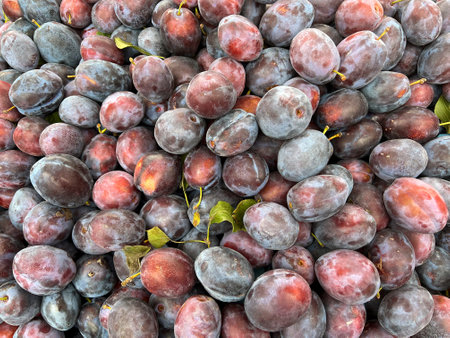 plums, plums background, prunes, prunes background, plums from marketの写真素材