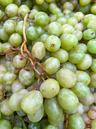 green grape wine, grape wine, grape wine background, green grape wine from marketの写真素材