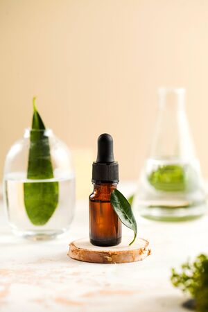 Face serum in a dark glass bottle with green leaves in transparent glass flasks in the background. Skin care. Vertical photo with space for text on top.の写真素材