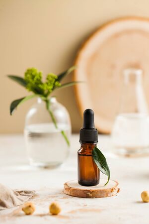 Skin care. Close-up facial serum with a green leaf, nuts, green plant and a flask of water. Beauty salon.の写真素材