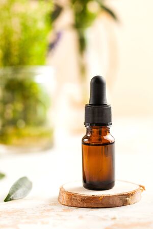 Skin care. Moisturizing serum or oil for face and body close-up, behind green plants in vases.の写真素材
